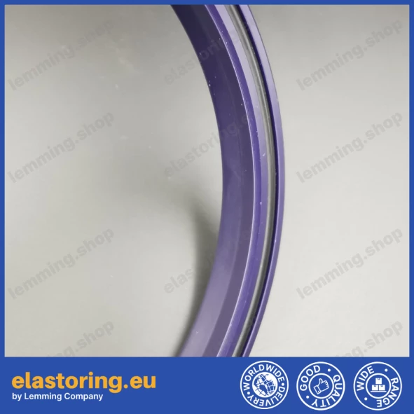 Rod seal RPO 110x125x12 [2ERPO110]
